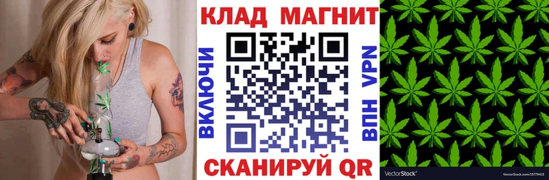 Галлюциногенные грибы Тавда