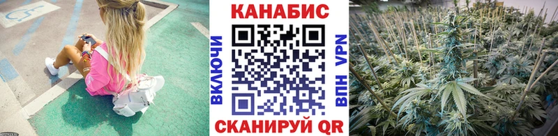 Купить  Тавда  Бошки марихуана White Widow 